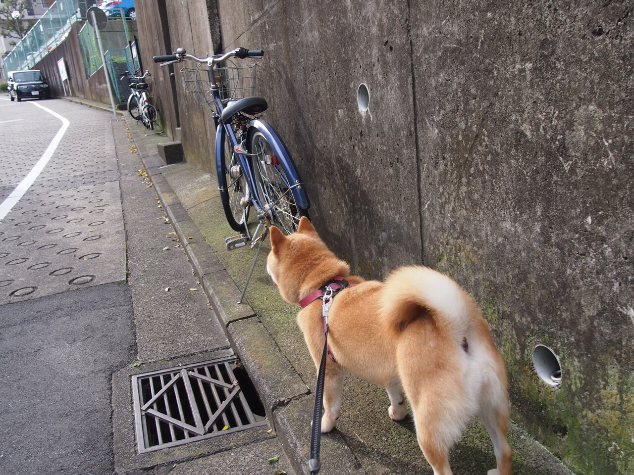 超越时间的翻盘，纳达尔如何将一场失利，铸成网球史上最惊艳的救赎