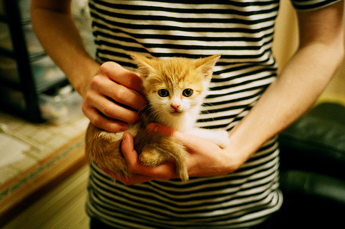 爱游戏在线-寒夜鞍山铸逆转，孤星赵继伟三分箭破青岛铁阵