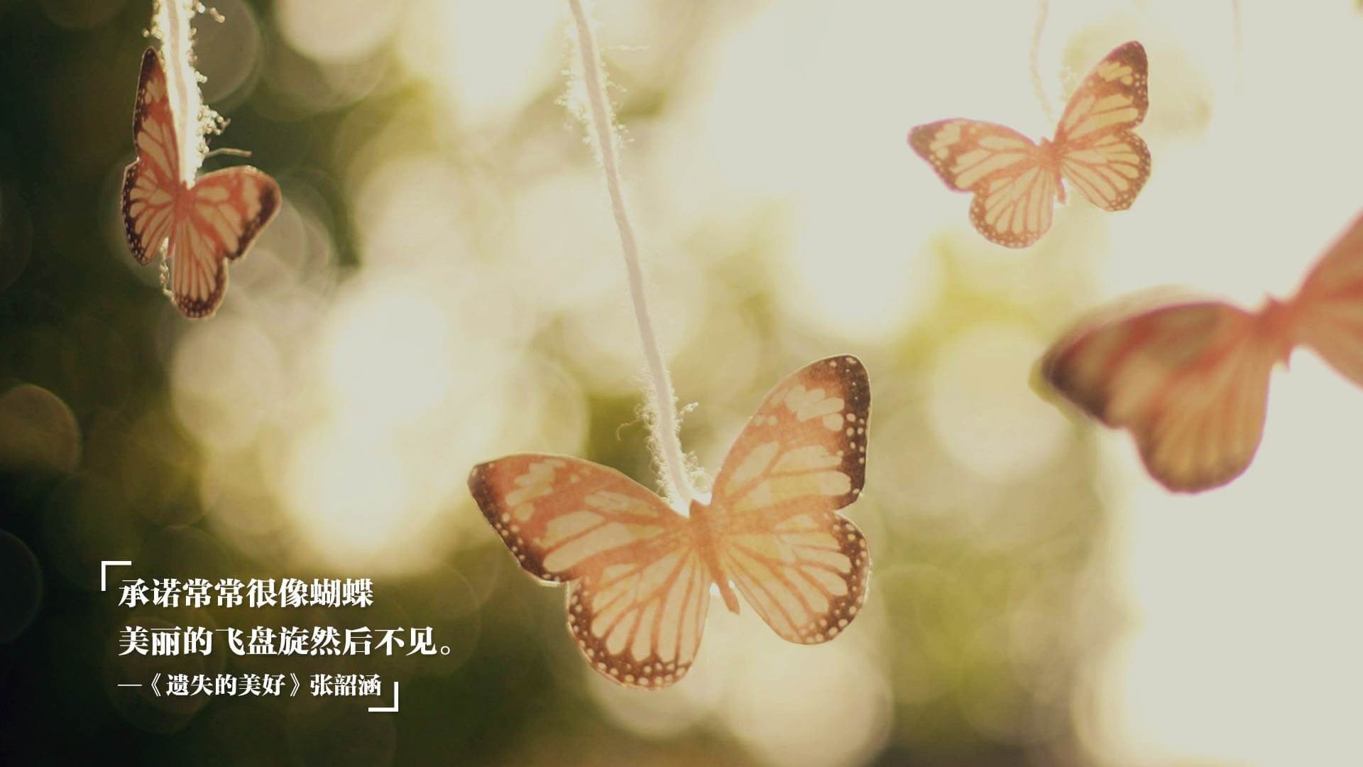 温网鏖战铸就领袖，西西帕斯年终总决赛扛起全队前行