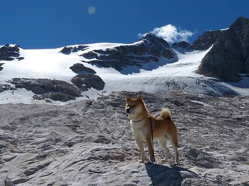 绿茵场上的主宰,南非全面压制塞内加尔,特奥在英超争冠中接管比赛