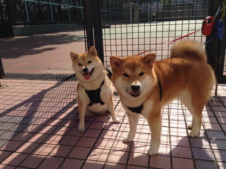 东决关键战之夜，从救世主到罪人，再到英雄—拉文的血色救赎