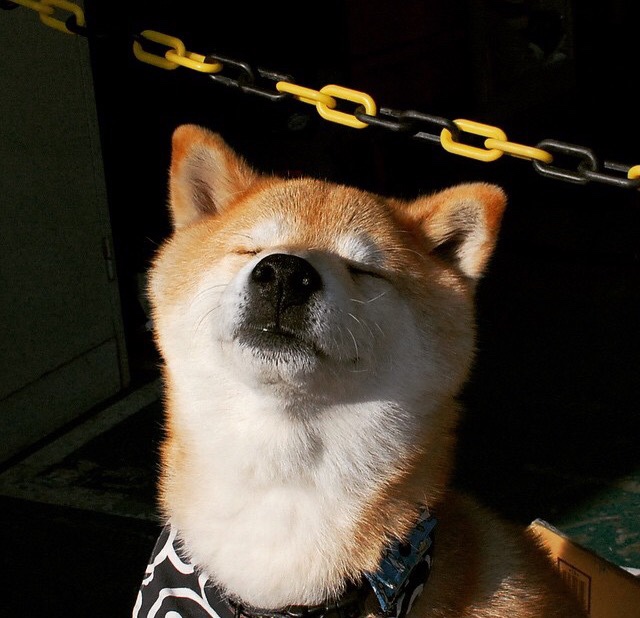 疾风骤雨打破不败主场！拉文末节狂飙上演关键先生绝杀，上海队粉碎浙江神话