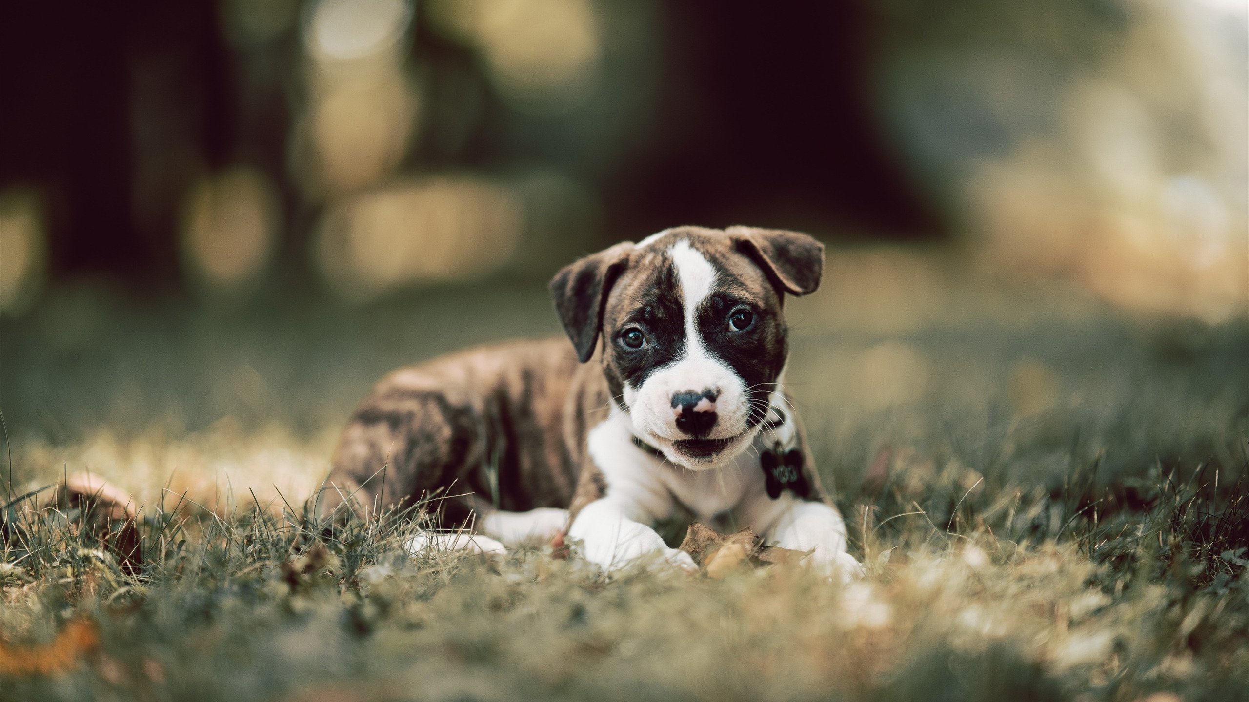 我为你构思了三个不同风格的标题,每个都紧扣核心,但侧重点和冲击力有所不同
