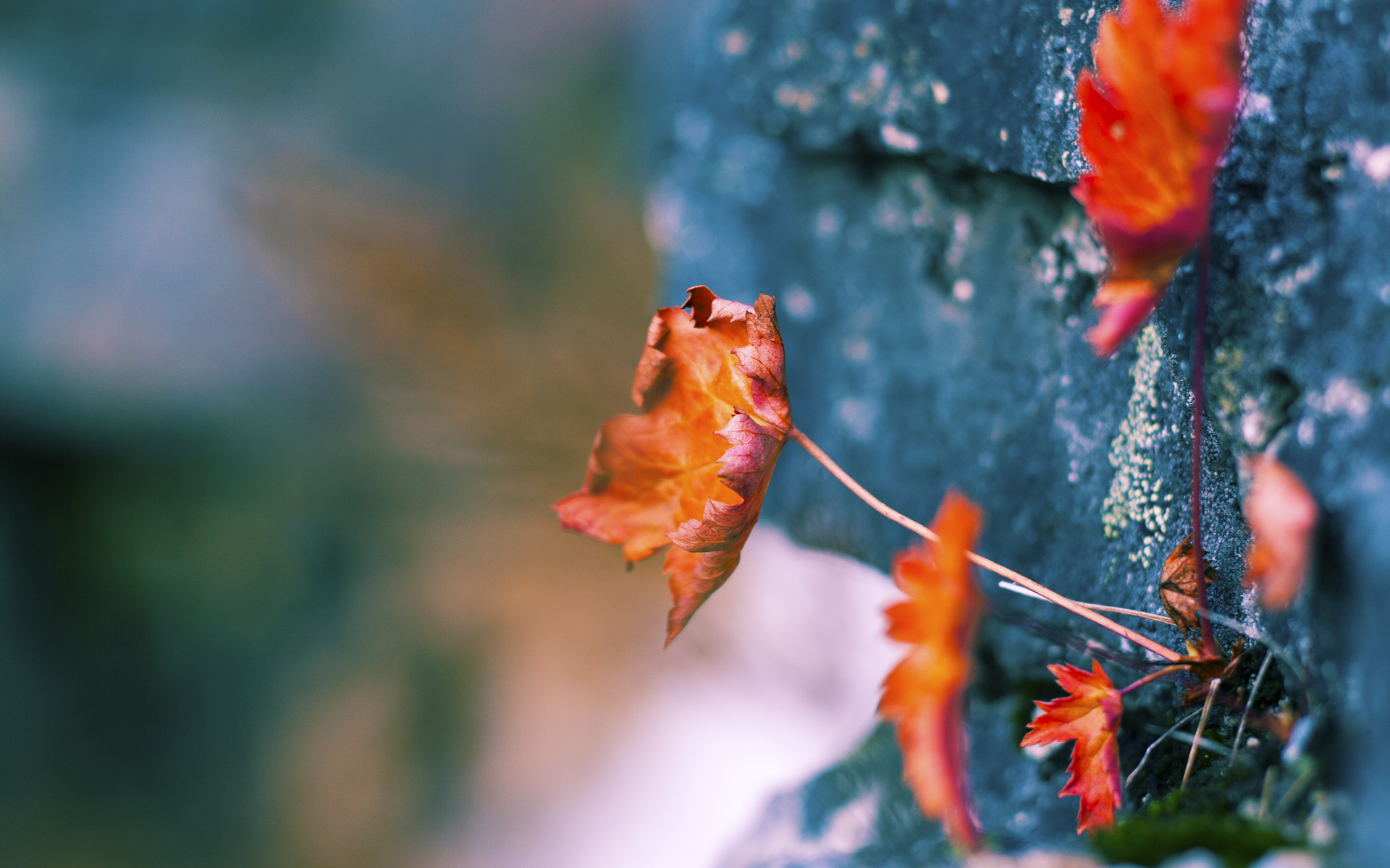 西决生死夜,德罗赞血刃封喉,攻防两端铸就唯一神迹