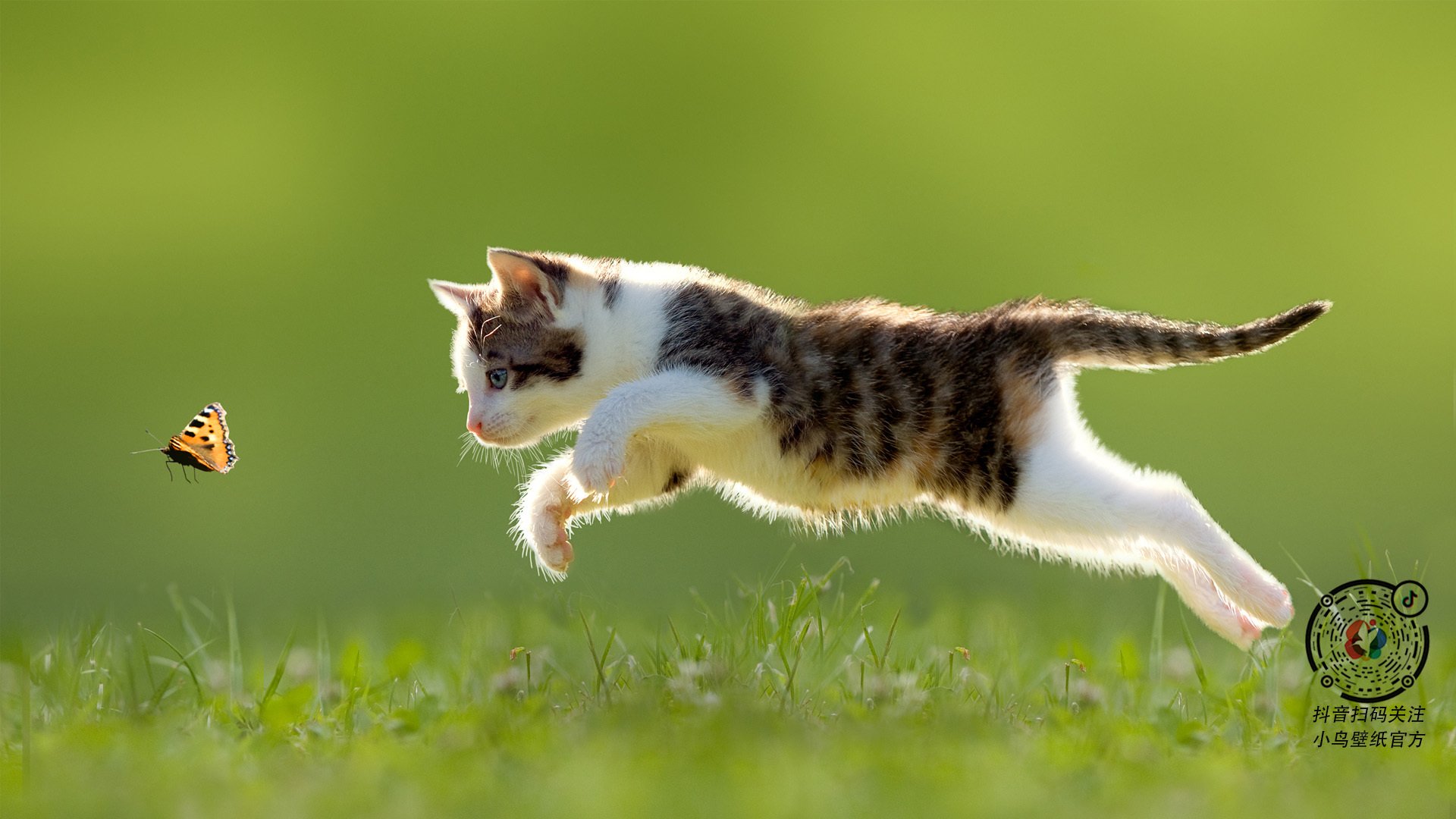 血脉战场与速度王座，当马刺魔术的肌肉碰撞遇见利拉德的赛道统治