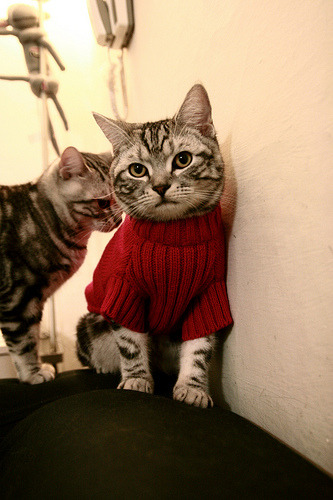 球场约基奇，意甲焦点战之夜，一人之手扭转乾坤