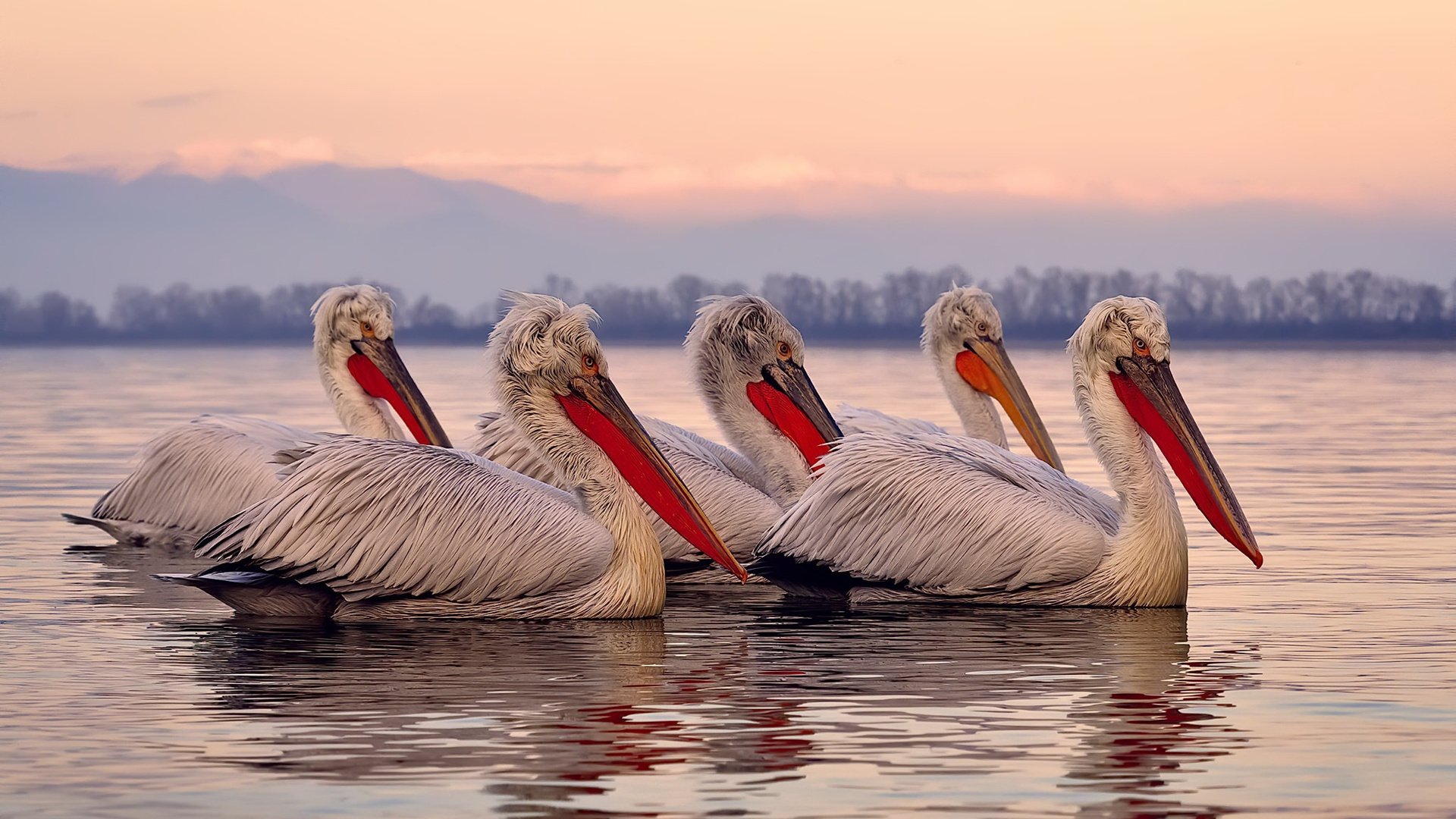 巨人踩碎王冠，恩比德50分统治级之夜，骑士与勇士的时代隐喻