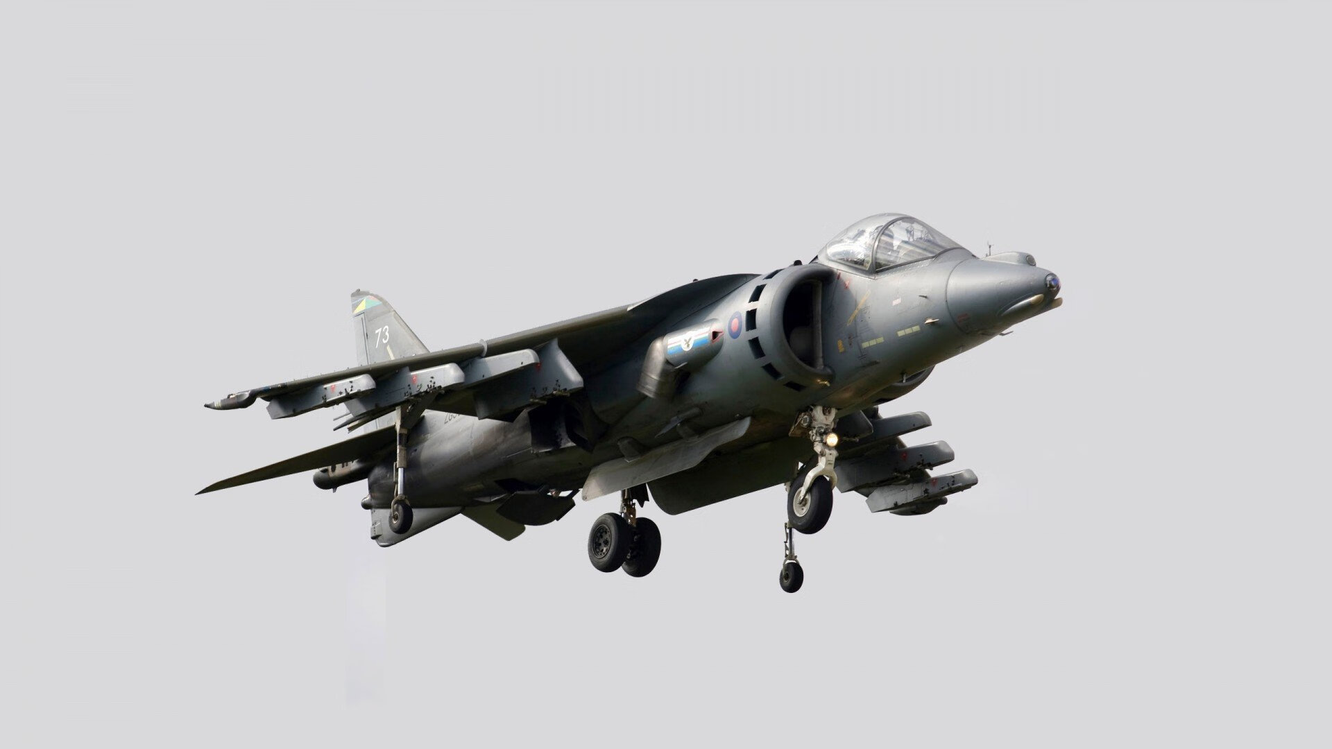 锡安31+9激活麦迪逊广场，尼克斯末节制胜夺走灰熊胜利