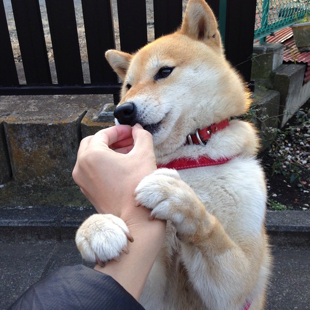 锁死MVP！跨洋热身赛广东轻取掘金，布克37分闪耀成关键先生