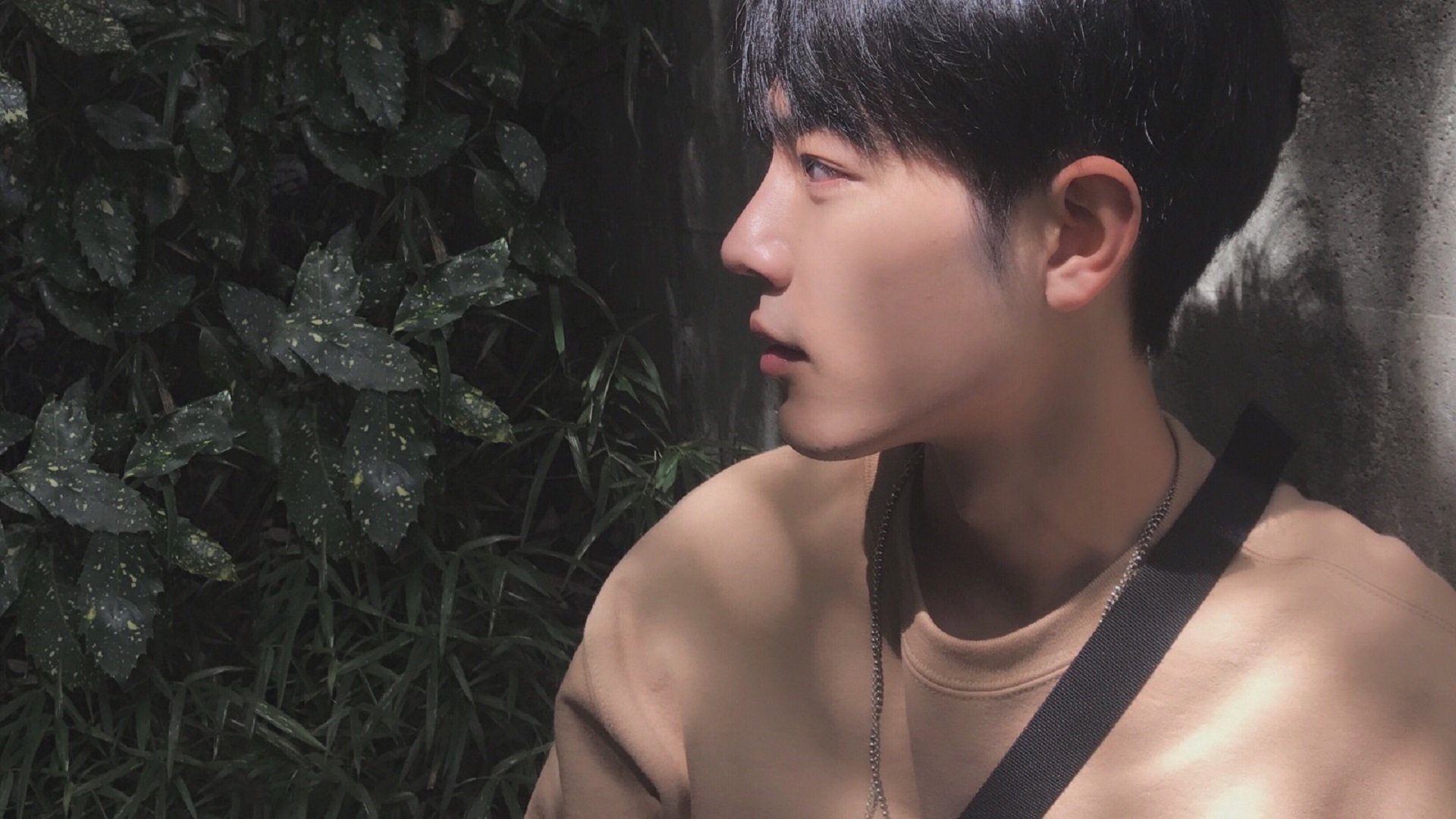 掘金王牌空降夏洛特 约基奇化身黄蜂雇佣兵破马刺