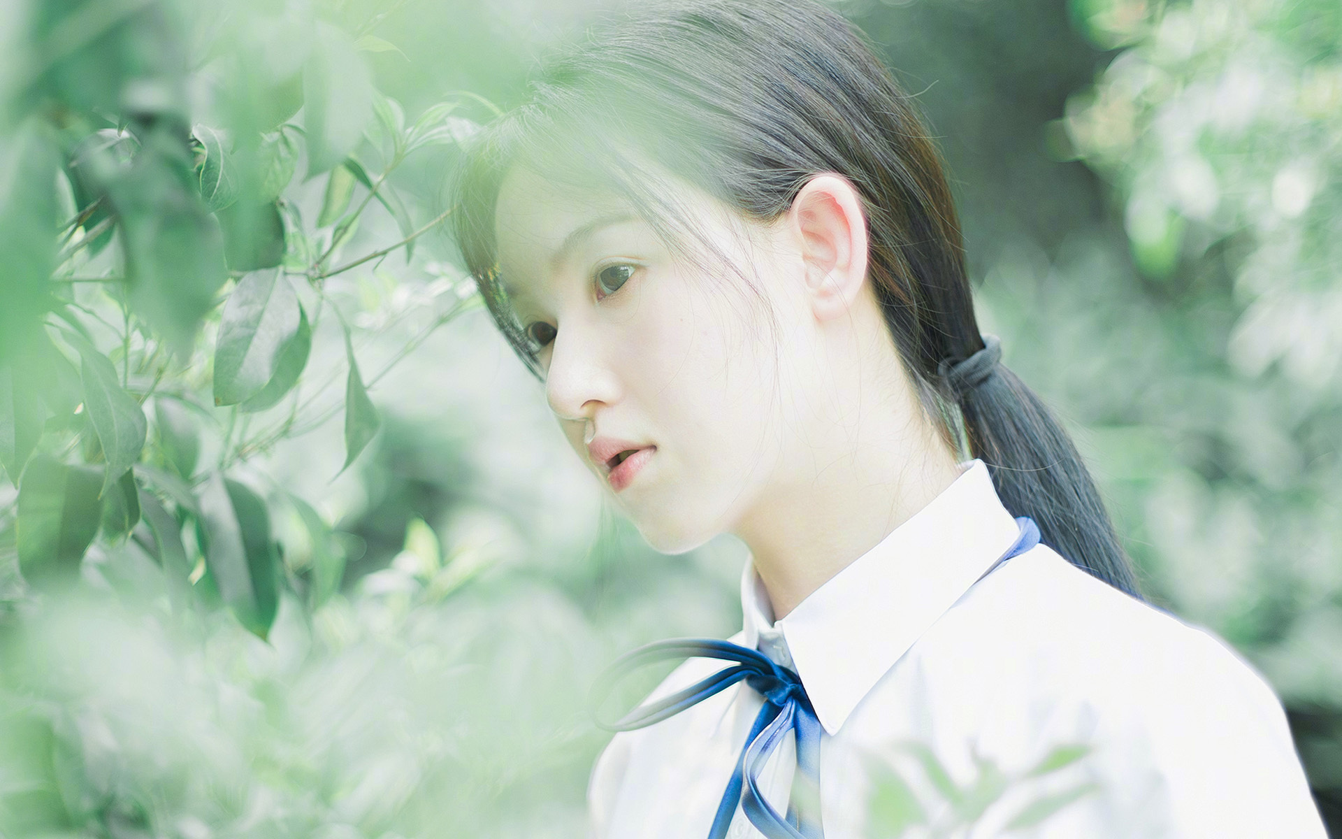 绿与黑的对决,巴雷拉一剑封喉,贝蒂斯巅峰战淬炼加纳黄金之殇