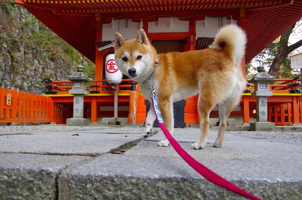 跨越时空的对决,当NBA总决赛激情碰撞英超红绿鏖战