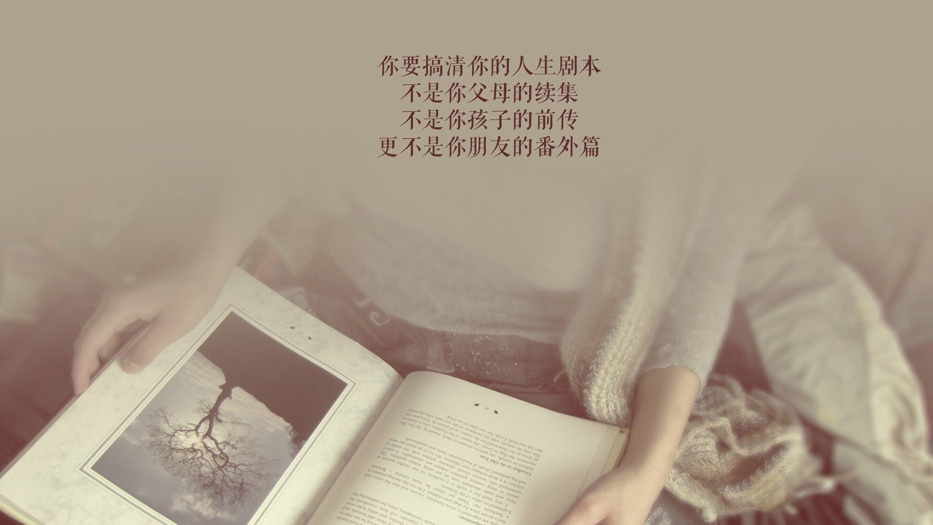 沙漠风暴中的北极光，2026世界杯G组，挪威钢铁防线碾压印度，齐耶赫独舞点亮强硬之夜