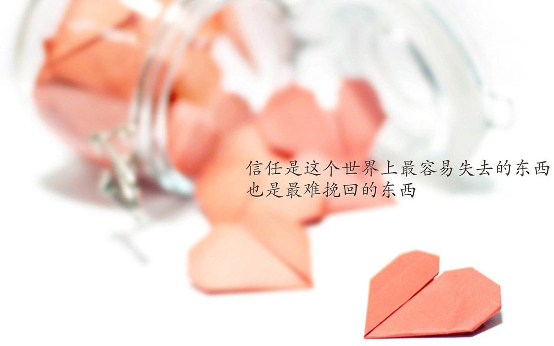 唯一之战，2026世界杯D组生死夜，库尔图瓦如何用双手改写罗马尼亚的命运剧本